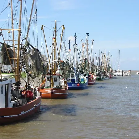 Strandvogt Wt2 * Dorum-Neufeld